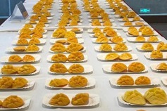 China's largest mango production base welcomes harvest