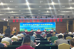 Guangxi forestry ecotourism sees robust growth