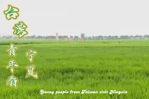 Youth from Taiwan visit Ningxia to experience farming