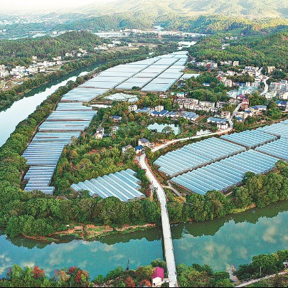 Jiangxi firmly focused on sustainable expansion