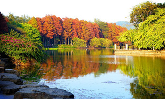 Luhu Lake Park