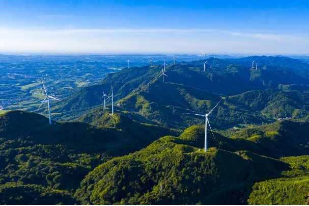 Overseas investors find sweet spots in China's green transition