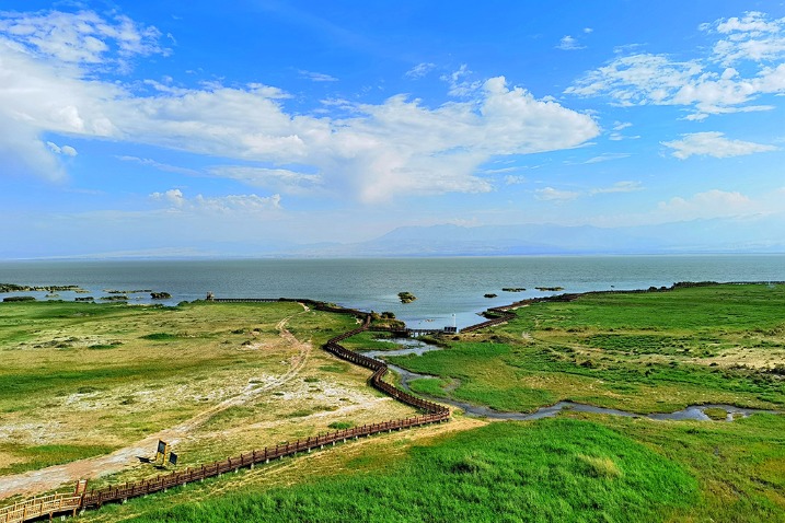 National wetland park in Qinghai is an ideal habitat for wild animals