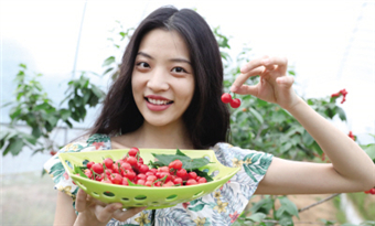 Changsha county offers visitors great fun in fruit picking