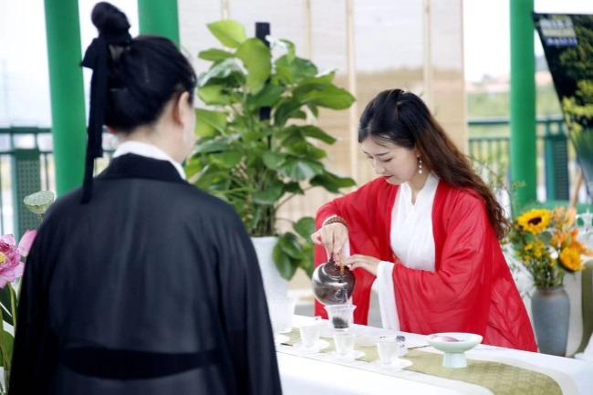 Aficionados gather in Wangcang for tea culture tourism festival