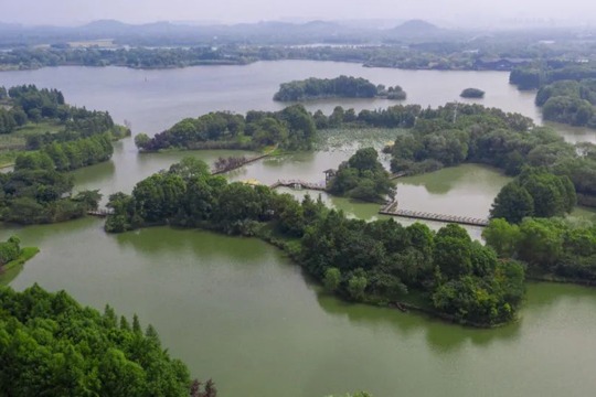 Taihu Wetland Park, the 'green lung' of Suzhou