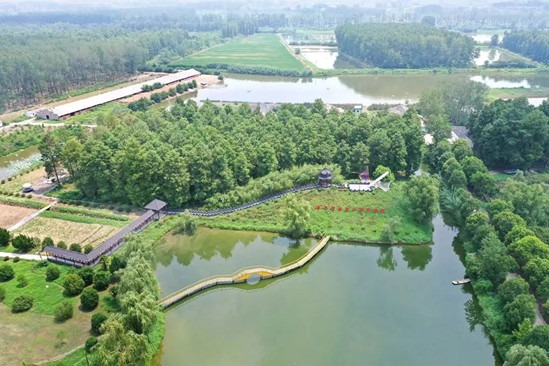 Enjoy a forest bath in Luyang Lake Wetland Park