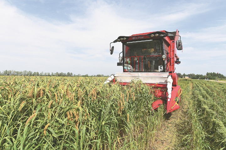 China makes great strides in rural vitalization over past 5 years