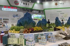 CAEXPO Agricultural Exhibition to boost mutual cooperation