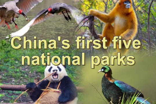 Video: China's first five national parks
