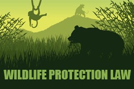 Amendment changes to Wildlife Protection Law