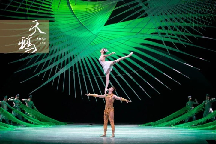 Acrobatic show 'Swan' debuts in Guangzhou