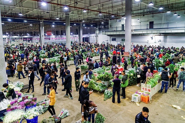 Kunming Dounan Flower Market