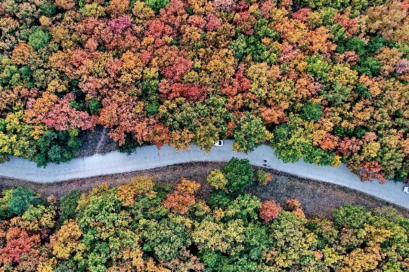 Autumn leaves attract tourists in North China