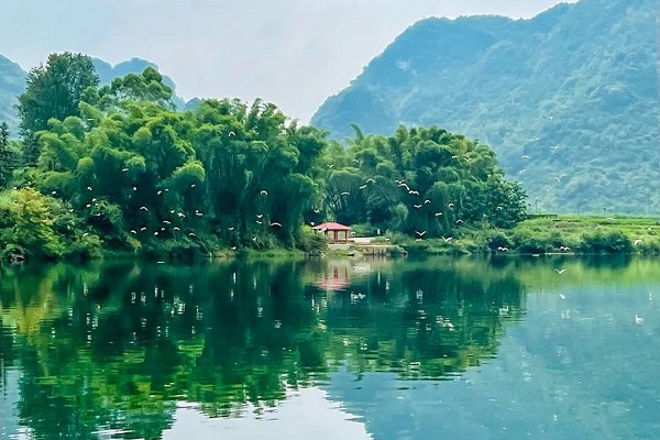 Hechi's surface water environment quality ranks 7th in China