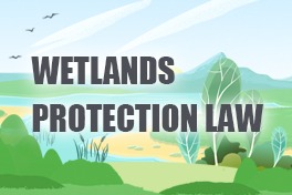 Wetlands protection law underpins ecological foundation