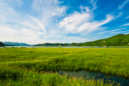 Tianjin's wetlands - the 'Green Lungs" of the region