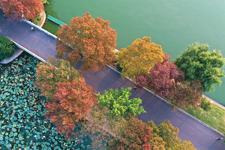 Xuanwuhu Park showcases picturesque autumn scenery