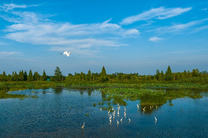 China's wetlands protection praised
