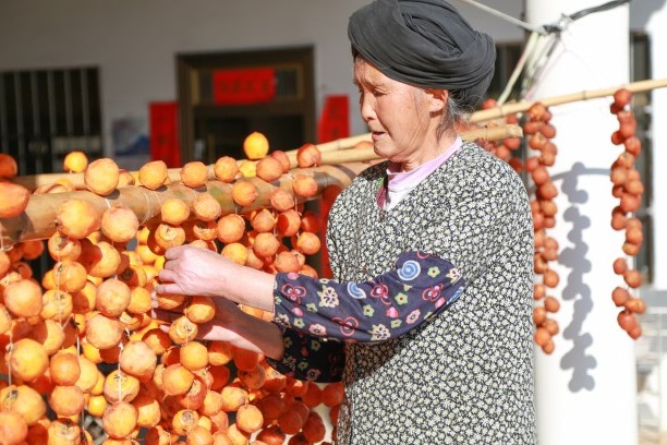 Guangyuan persimmons make for a sweet autumn harvest