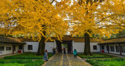 Enjoy autumn scenery in Shi Kefa Memorial House