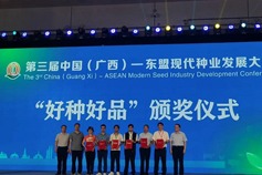 Hechi's agri-products awarded at Guangxi seed industry conference