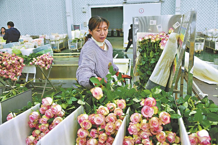 China aims for annual flower sales of 300 bln yuan by 2025