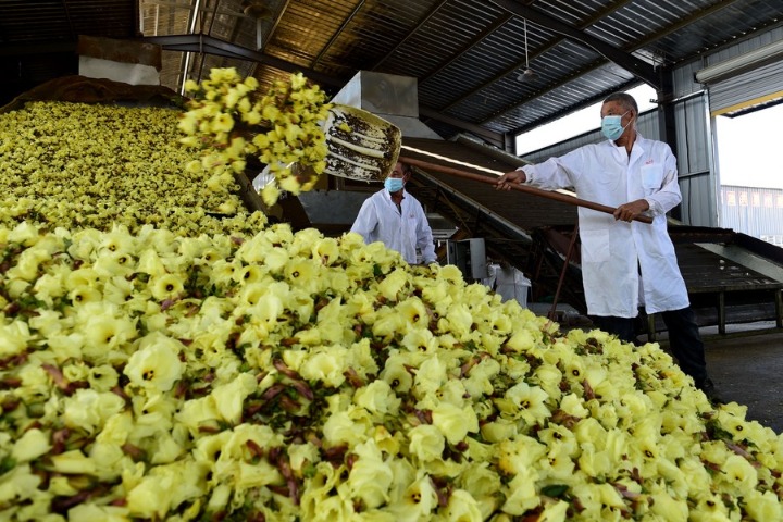 Living standards rise in the nation's rural areas