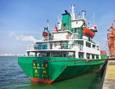 Shipping route linking Beibu Gulf, GBA begins operation
