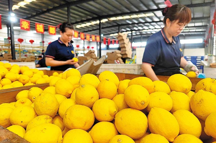 Chongqing district profits from zest for lemons