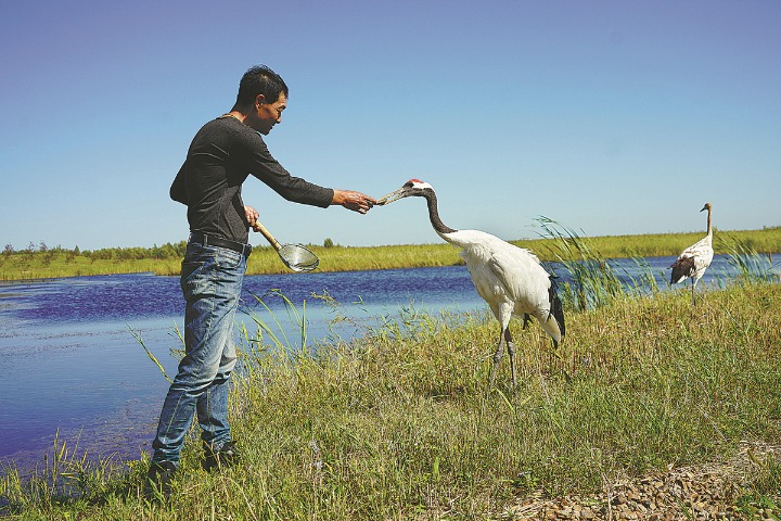 Reserve's former inhabitants find new feathered friends