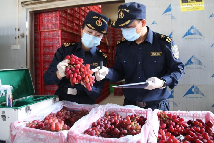Fruit, nut exports from Yunnan lead country