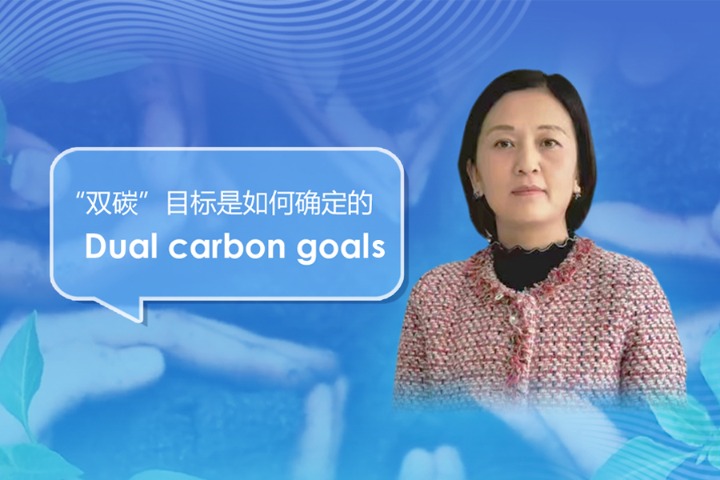 Why and how: China's dual carbon goals