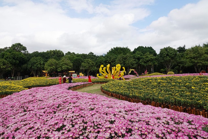 Tourists pack the 7th Qingxiu Mountain Chrysanthemum Exhibition in Nanning