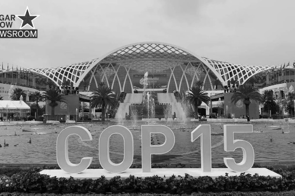 COP15 aims for ambitious, practical biodiversity targets