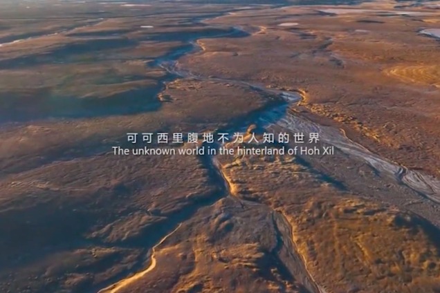 Documentary on Tibet's Hoh Xil region debuts in Kunming