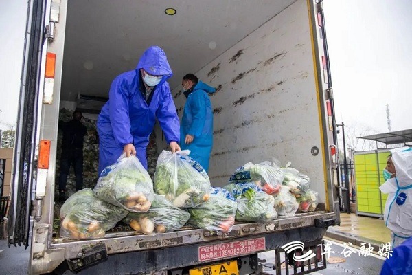 WEDZ ensures food supply amid pandemic