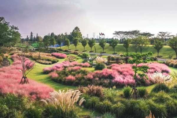 Chenshan Botanical Garden among top 10 characteristic plant areas in Shanghai