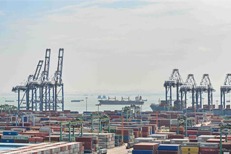 Guangdong reports stabe trade growth despite headwinds