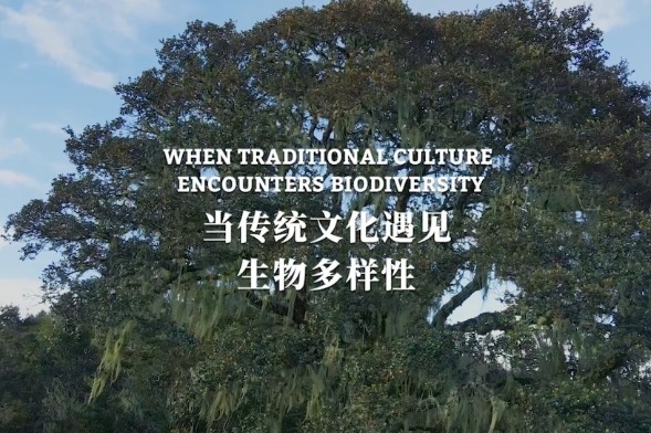 When traditional culture encounters biodiversity