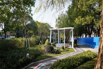Pocket parks improve people's lives in Pudong