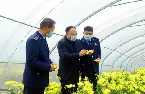 Tax reduction helps boost rural vitalization in Tai'an
