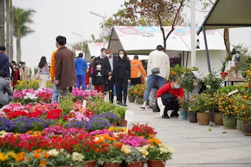Citywide flower markets add festive atmosphere to Zhuhai
