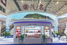 Maoming culture shines at Shenzen cultural fair