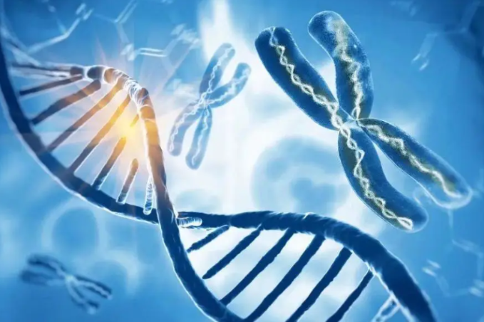 Rare disease drug included in medical insurance list