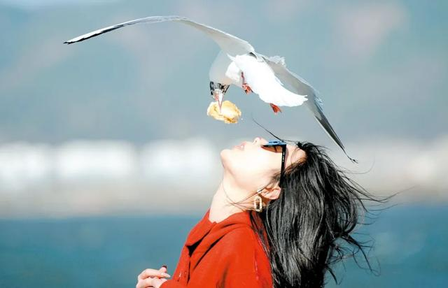Dianchi Lake in Kunming boosts biological diversity