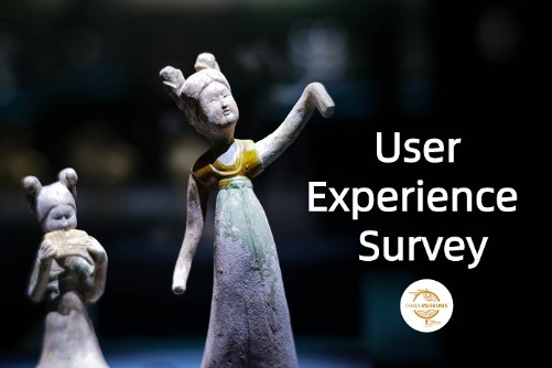 Survey: China Museums website and social media