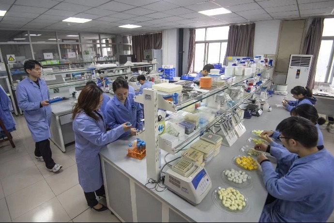 Silkworm gene bank approved in Chongqing