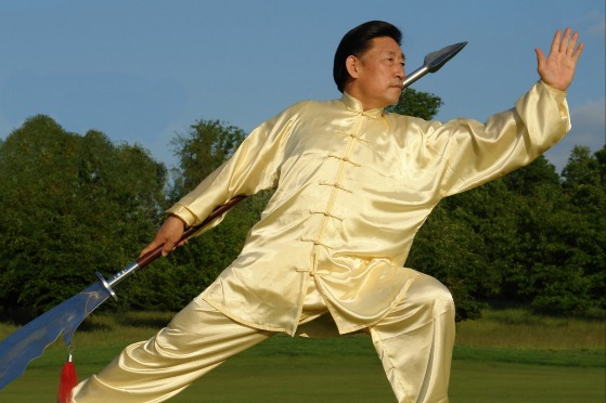 Prime mover sheds light on taijiquan mystery