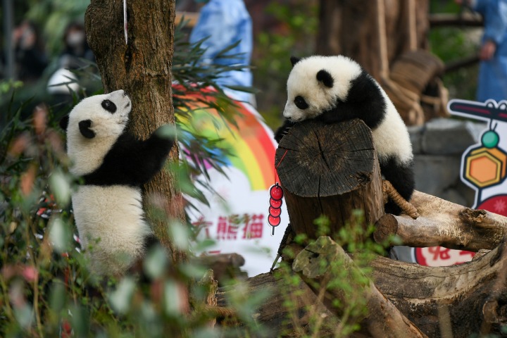 Sichuan capital of Chengdu looks to take lead in attracting tourists